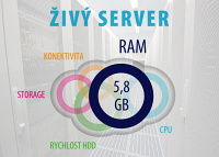 Živý hosting