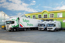 Společnost Tulipa Praha nasadila informační systém Helios Orange