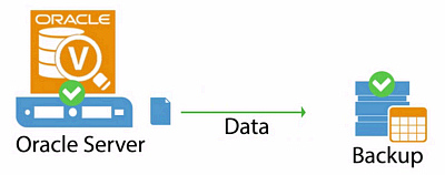 Veeam Explorer Pro, Oracle