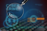 Cyber kriminalita