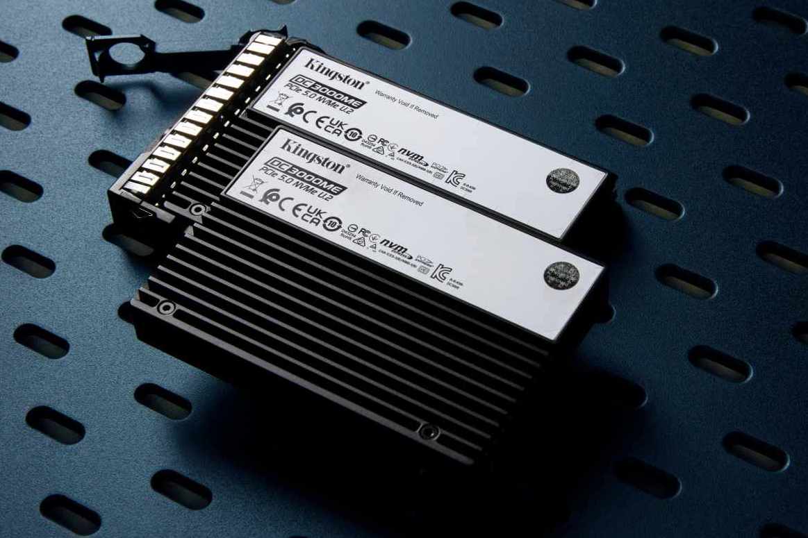 Kingston_ssd_dc3000me_k___vodu.jpg