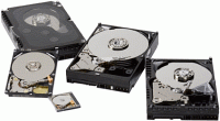 3,5palcov disky WD s 320 GB na plotnu