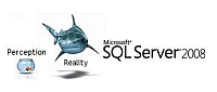 Microsoft uvolnil SQL Server 2008 do vroby