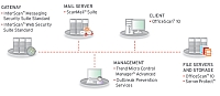 Bezpenost prosted VMware