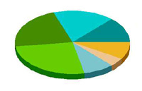 Webhosting v R loni vzrostl