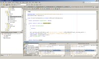 Oracle uvd NetBeans IDE 7.0