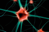 Neuronov st a jejich vyuit