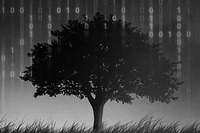 EMC: Digitln svt zahlcuj senzory