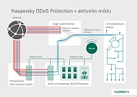 Kaspersky DDoS Protection chrn ped DDoS toky