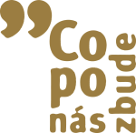 CNZ - logo