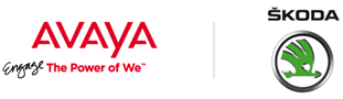 Avaya, Škoda