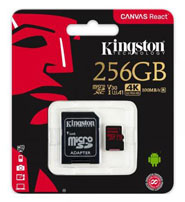 Kingston Canvas React