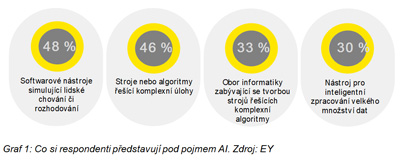 Co si respondenti pedstavuj pod pojmem AI. Zdroj: EY