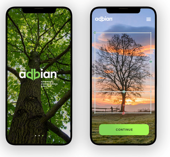 Software AdBiAn um vytvoit 3D model strom a pomh s p o n