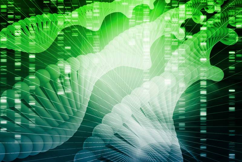 Bude DNA základem nových technologií pro zálohování dat?