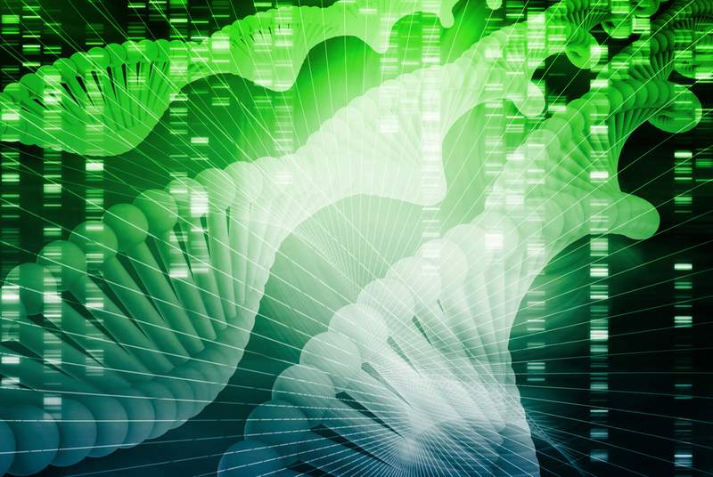Bude DNA zkladem nov generace technologi pro zlohovn dat?