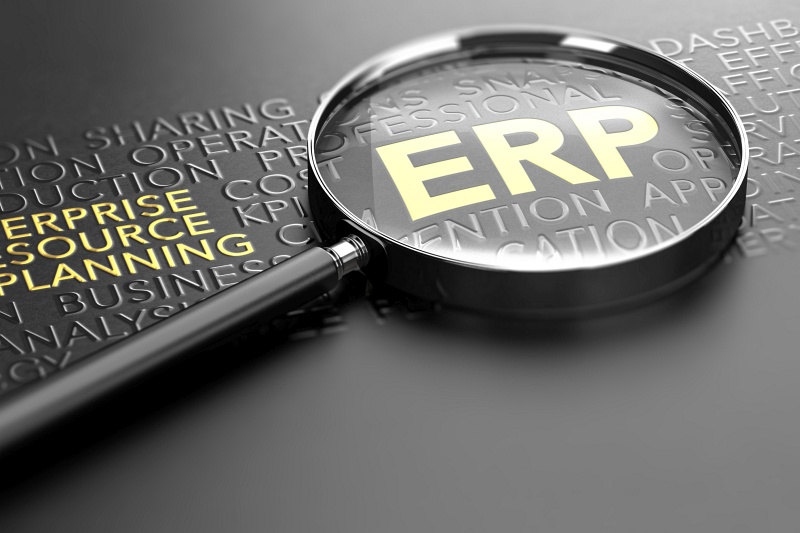 ERP lupa