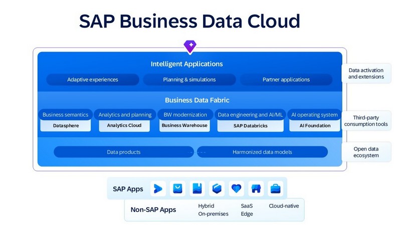 SAP business data